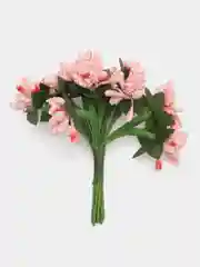 Манго букет тычинок, с сахарными вставками