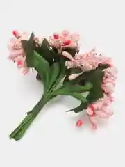Манго букет тычинок, с сахарными вставками