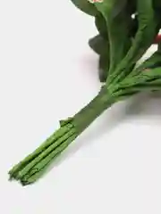 Манго букет тычинок, с сахарными вставками