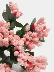 Манго букет тычинок, с сахарными вставками