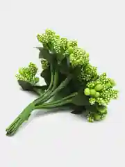 Лайм букет тычинок, с сахарными вставками