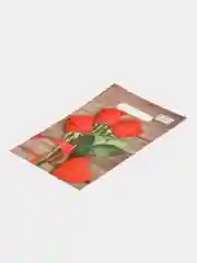 Коралловый пакет подарочный, 20 х 30, 23 февраля, 8 марта
