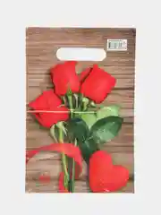 Коралловый пакет подарочный, 20 х 30, 23 февраля, 8 марта
