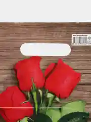 Коралловый пакет подарочный, 20 х 30, 23 февраля, 8 марта