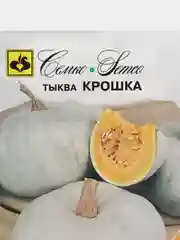 Семена Тыква "Крошка", 10 штук