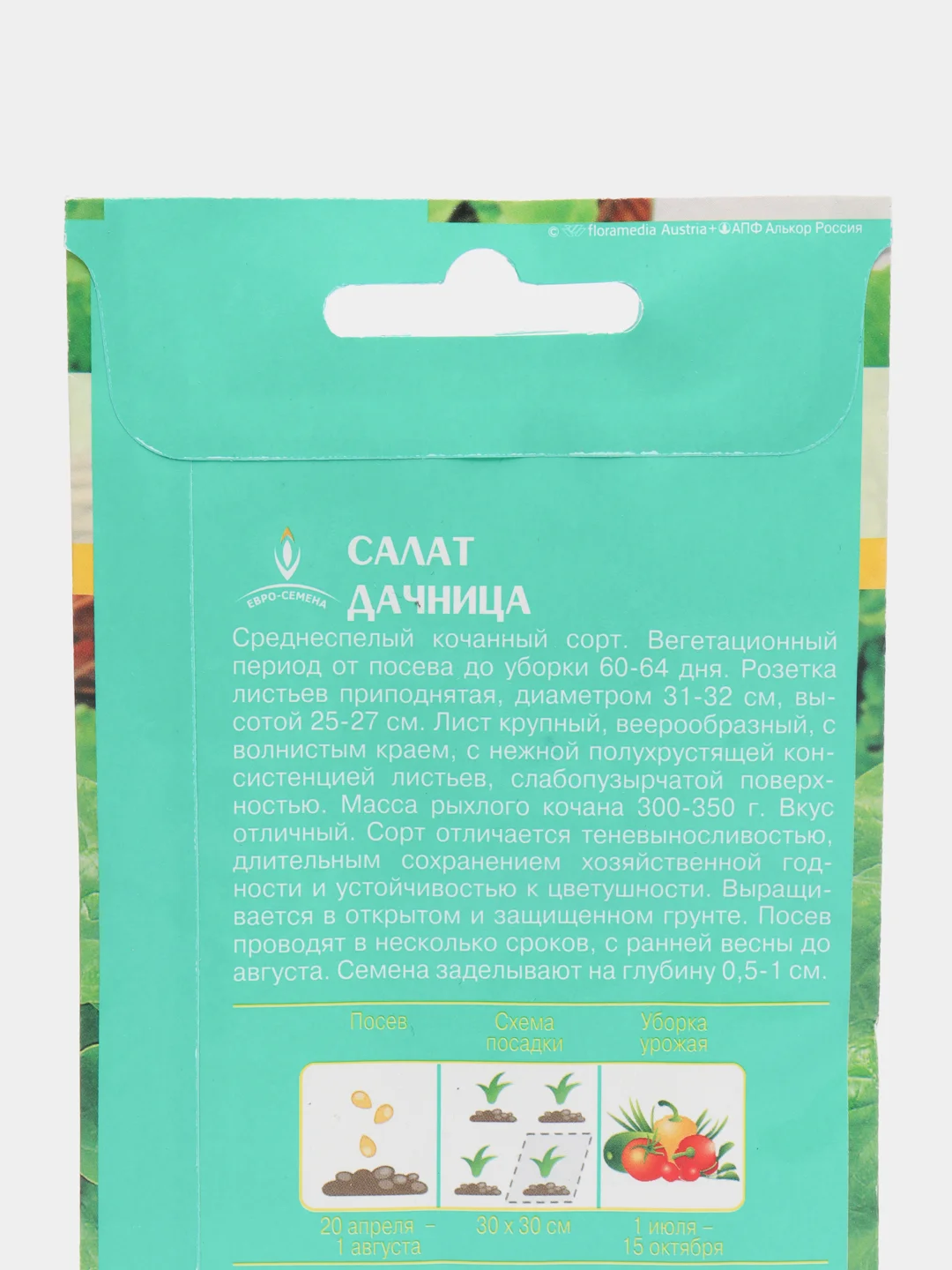 Салат "Дачница кочанный", семена, 1 г
