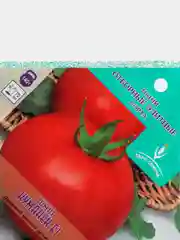 Томат "Куманёк F1", семена, 15 штук