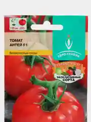 Семена Томат "Антей F1", 10 шт, евро