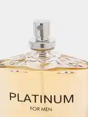 Туалетная вода для мужчин Absolute Platinum, 100 мл