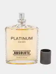 Туалетная вода для мужчин Absolute Platinum, 100 мл