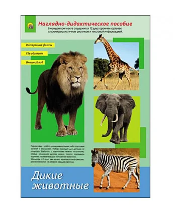 Карточки обучающие Долмана. Демонстрационные картинки