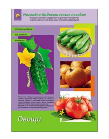 Карточки обучающие Долмана. Демонстрационные картинки