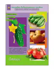 Карточки обучающие Долмана. Демонстрационные картинки