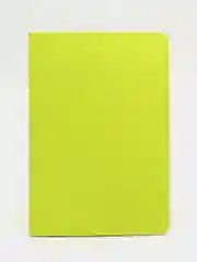 Тетрадь A5 48л, сшивка, клетка, кожзам SoftTouch, салатовый, BRAUBERG RAINBOW, 403878