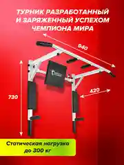Турник Absolute Champion Триумф Лайт, 300 кг, 3 в 1, белый с черными ручками, усиленный