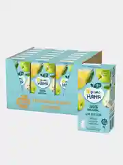 Сок детский ФрутоНяня, из яблок и груш, 0,2 л, упаковка 18 штук