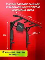 Турник Absolute Champion Триумф Лайт 3 в 1, черный, 300 кг, настенный, для фитнеса дома