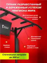 Турник Absolute Champion Триумф Лайт 3 в 1, черный, 300 кг, настенный, для фитнеса дома