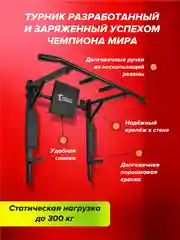 Турник Absolute Champion Триумф Лайт 3 в 1, черный, 300 кг, настенный, для фитнеса дома