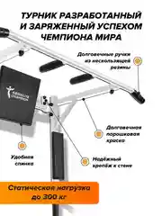 Белый турник 3 в 1 Absolute Champion Триумф белый. Тренажер для дома усиленный