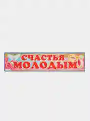 Вишнёвый свадебные номерные наклейки на авто Выкуп Подружки невесты, Едут гости, Трезвые гости