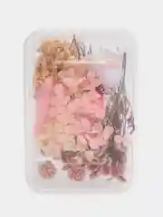 Тёмно-розовый сухоцветы в контейнере