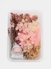 Тёмно-розовый сухоцветы в контейнере