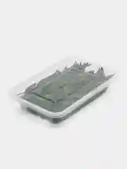 Зелёный хаки сухоцветы в контейнере