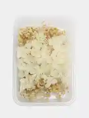 Белый сухоцветы в контейнере