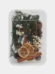Оранжевый сухоцветы в контейнере