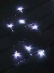 Гирлянда штора
