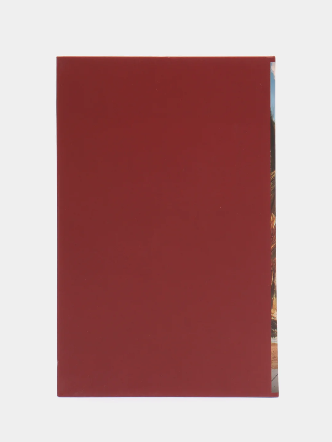 Сейф-книга "Остров сокровищ", 55х115х180 мм, ключевой замок, BRAUBERG, 291050