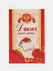Алый диплом выпускника школы/выпускник сада/выпуск 2024