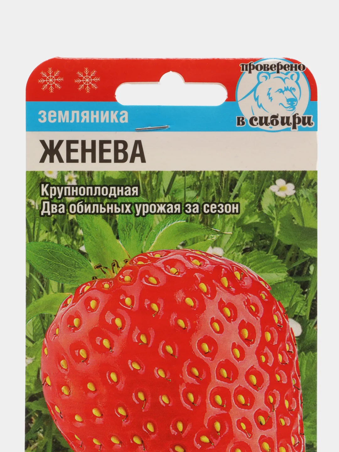 Семена Клубника "Женева", 10 шт