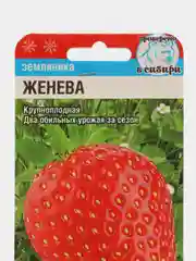 Семена Клубника "Женева", 10 шт