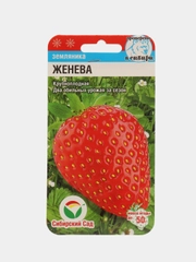 Семена Клубника "Женева", 10 шт