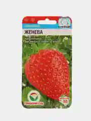 Семена Клубника "Женева", 10 шт