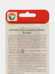 Семена Клубника "Женева", 10 шт