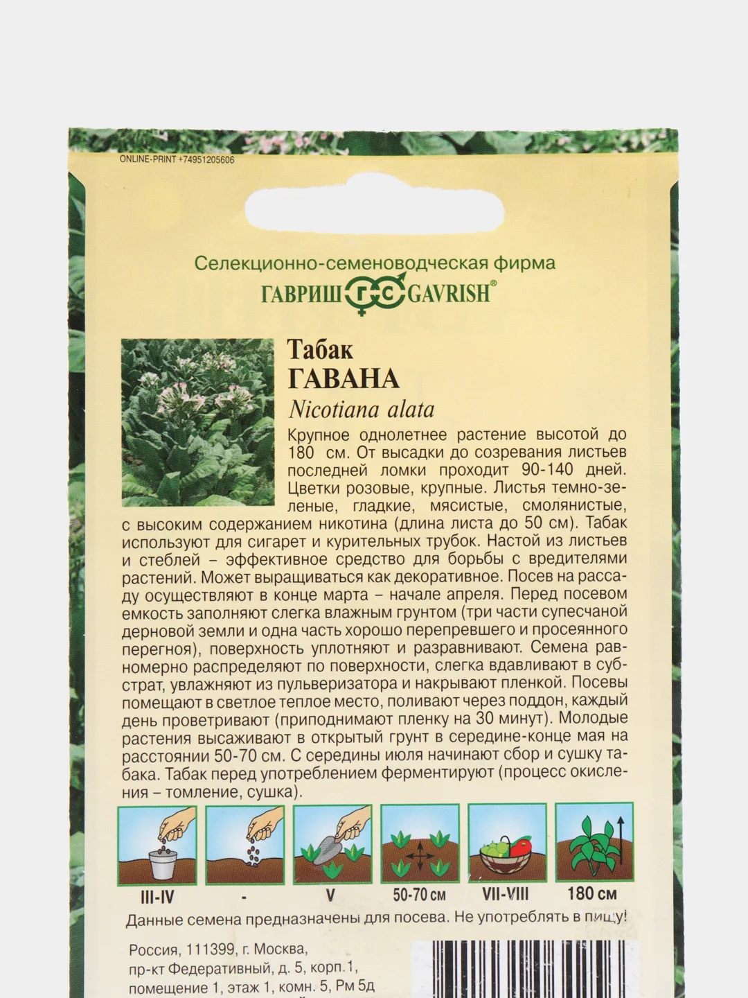 Семена Табак курительный "Гавана", Гавриш