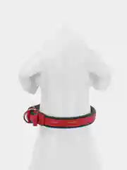 Красный ошейник для собак и кошек мелких и средних пород, NUNBELL, комбинированный, 47 х 2 см