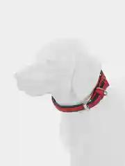 Красный ошейник для собак и кошек мелких и средних пород, NUNBELL, комбинированный, 47 х 2 см