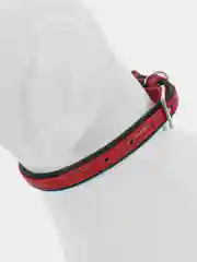 Красный ошейник для собак и кошек мелких и средних пород, NUNBELL, комбинированный, 47 х 2 см