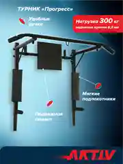 Турник Absolute Champion "Прогресс" черный разборный Aktiv, 3 в 1, усиленный, 300 кг
