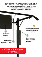 Турник Absolute Champion "Прогресс" черный разборный Aktiv, 3 в 1, усиленный, 300 кг