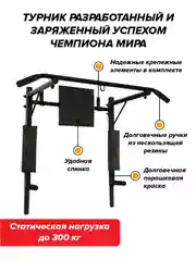 Турник Absolute Champion "Прогресс" черный разборный Aktiv, 3 в 1, усиленный, 300 кг
