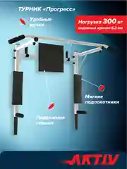 Турник Absolute Champion Прогресс белый разборный Aktiv 3 в 1, 300 кг. Турник на стену