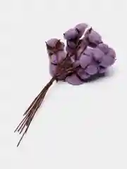 Фиолетовый хлопок натуральный, сухоцветы, 10 штук