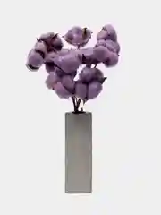 Фиолетовый хлопок натуральный, сухоцветы, 10 штук