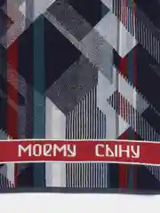 Полотенце махровое "Моему сыну", 50 х 100