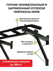 Турник Absolute Champion "Треххватный", черный, разборный Aktiv, 300 кг, наддверный, для дома